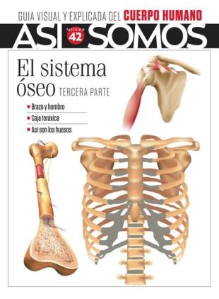 Asi Somos El cuerpo humano - Fasciculo 9 2024