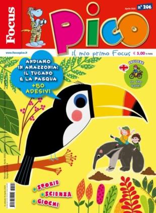 Focus Pico - Aprile 2025