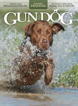 Gun Dog - June-July-August 2025