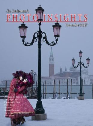 Photo Insights - December 2025