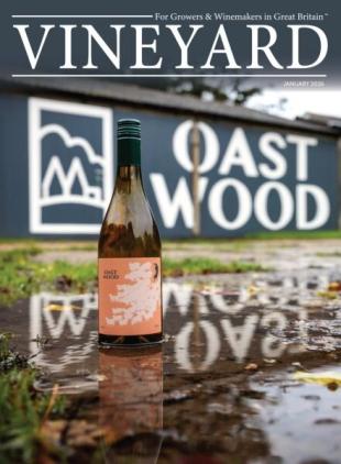 Vineyard - January 2026