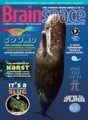 Brainspace - February-March 2026