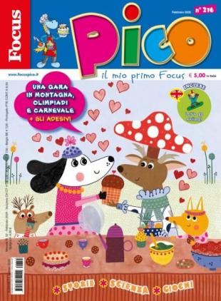 Focus Pico - Febbraio 2026