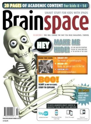 Brainspace - Fall 2014