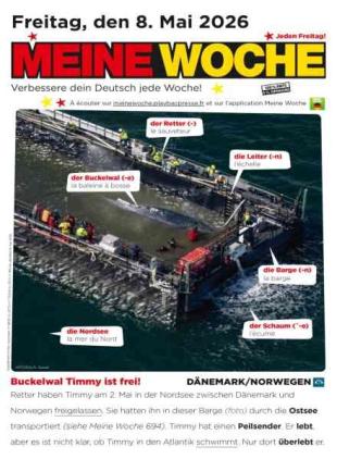 Meine Woche - 7 Mai 2026