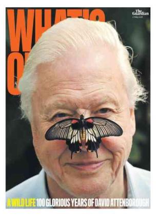The Guardian What's On - 2 May 2026