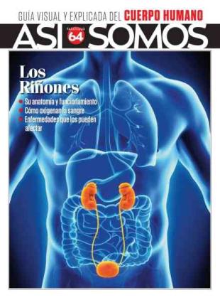 Asi Somos El cuerpo humano - Julio 2026