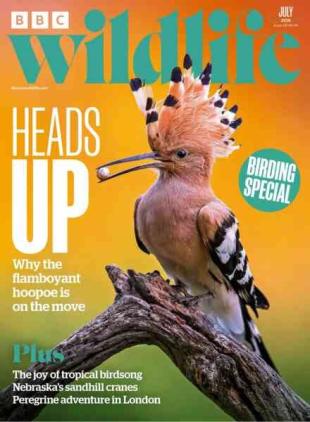 BBC Wildlife - July 2026
