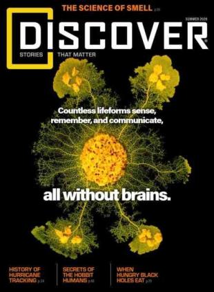 Discover - Summer 2026