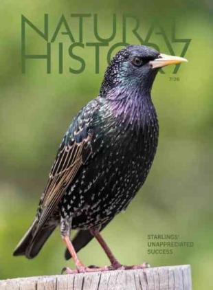 Natural History - July 2026