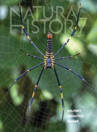 Natural History - June 2026