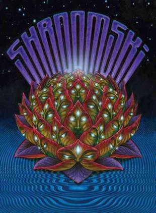 Shroomski Magazine - July 2026
