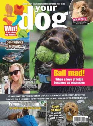 Your Dog - September 2026