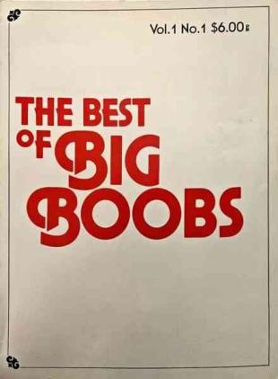 The Best of Big Boobs - Vol 1 N 1