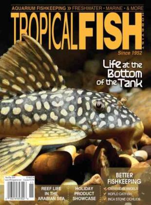 Tropical Fish Hobbyist - November-December 2019