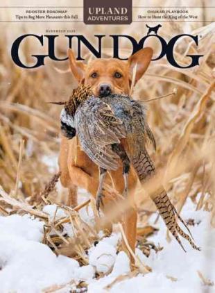 Gun Dog - November 2026